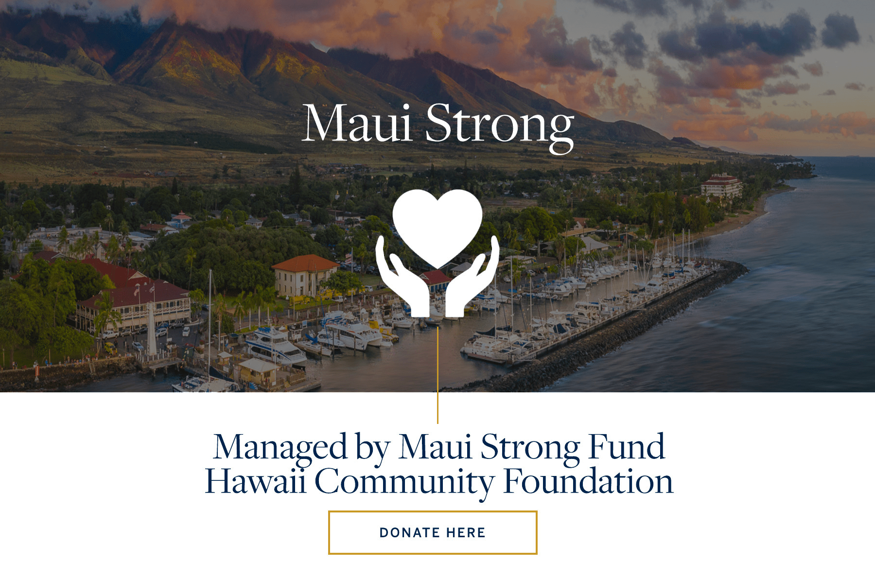 Maui Strong Donate